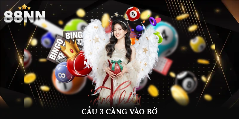 cầu 3 càng vào bờ